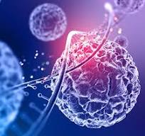 Oncology