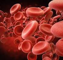 Hematology
