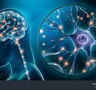 Neurology