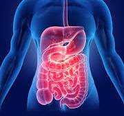 Gastroenterology